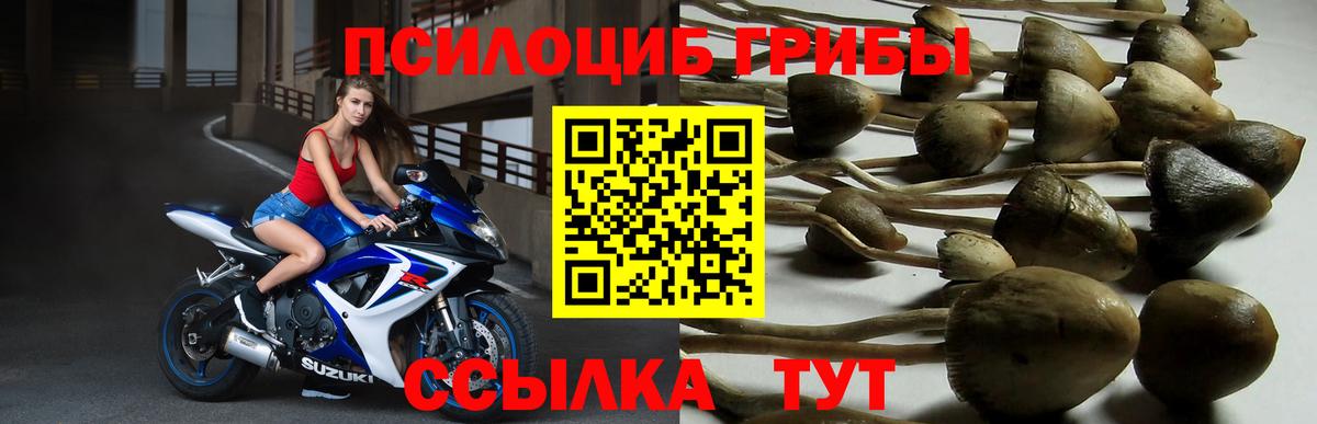 Галлюциногенные грибы GOLDEN TEACHER  Вход с VPN  Реж 